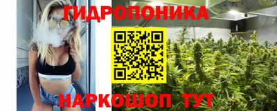 ПСИЛОЦИБИНОВЫЕ ГРИБЫ Будённовск