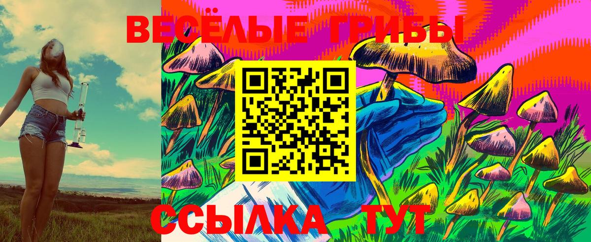 Галлюциногенные грибы Psilocybine cubensis  Псилоцибиновые грибы GOLDEN TEACHER  Вход с VPN  Новошахтинск 